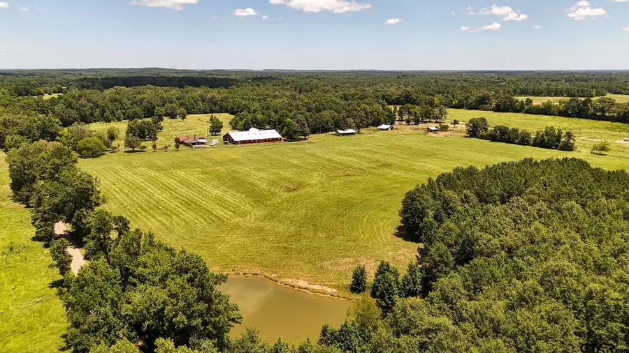 TBD County Road 235, Beckville, TX 75631 - #3