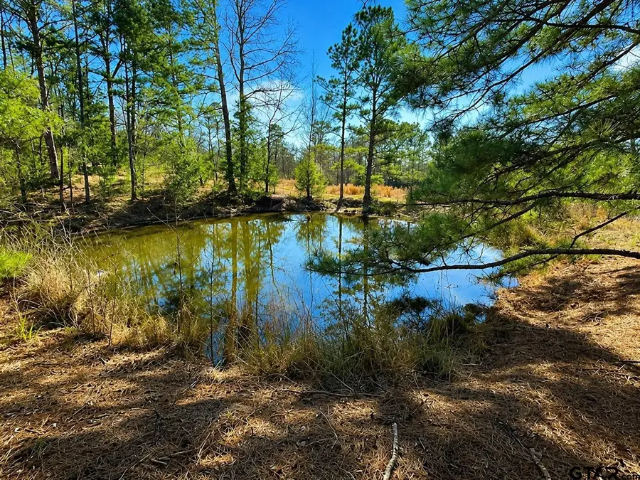 562 Cr 4430, Winnsboro, TX 75494 - #2