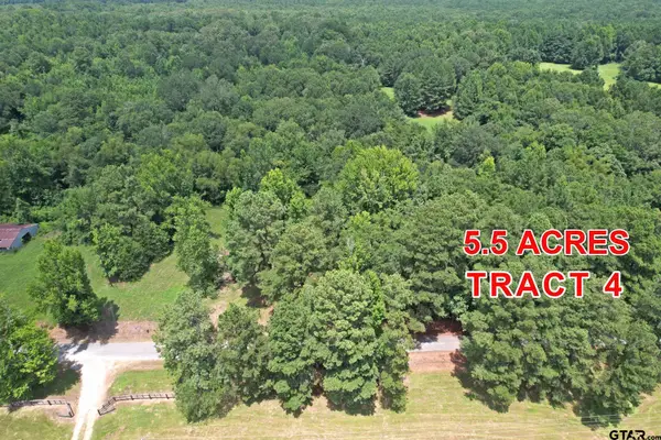 Tract 4 County Road 3117, Clarksville,  75426