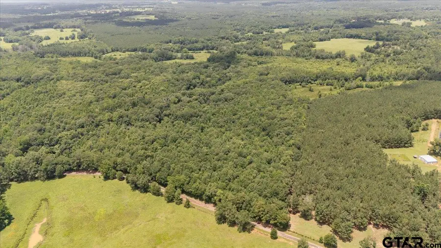 TBD 38.110 Ac Cr 3206, Mount Enterprise, TX 75681 - #2