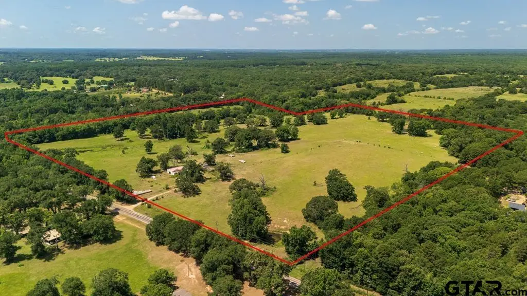 TBD Fm 773, Murchison, TX 75778 - #1