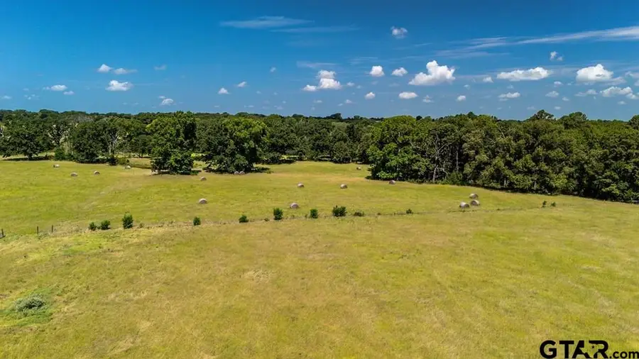 TBD Fm 773, Murchison, TX 75778 - #3
