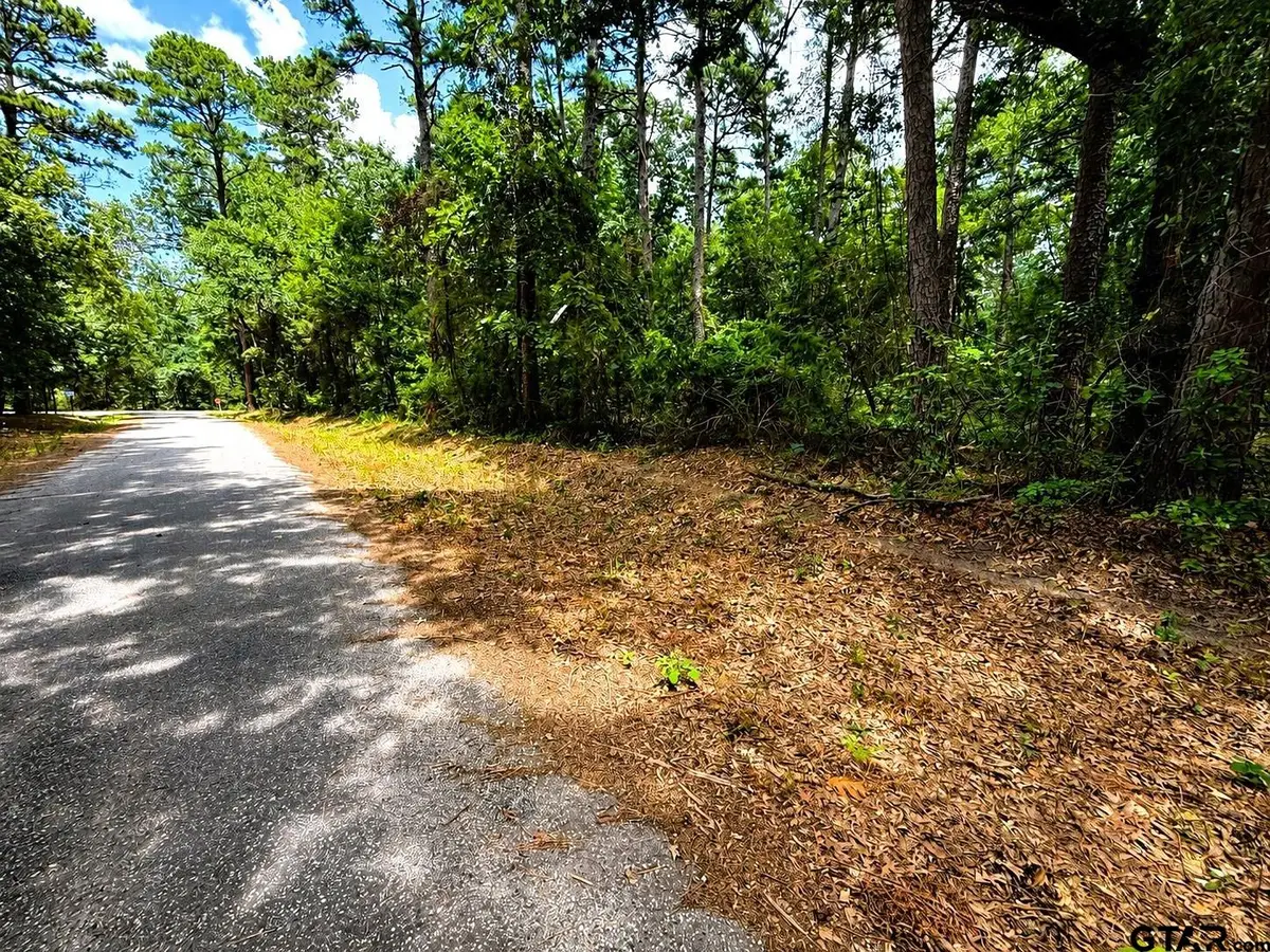 TBD Lot 4 Cr 4557, Winnsboro, TX 75494 - #1