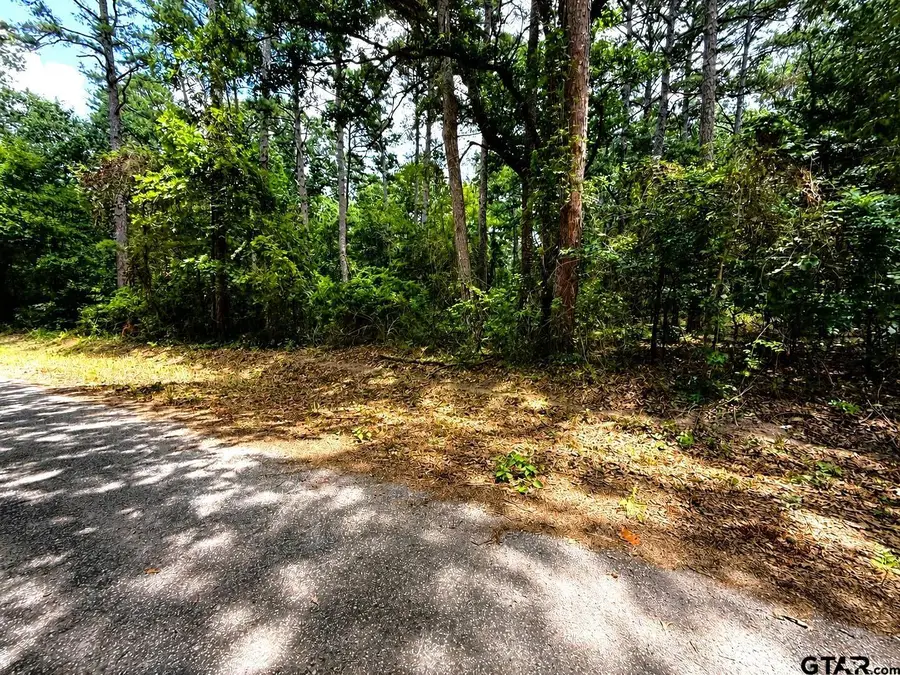 TBD Lot 4 Cr 4557, Winnsboro, TX 75494 - #2