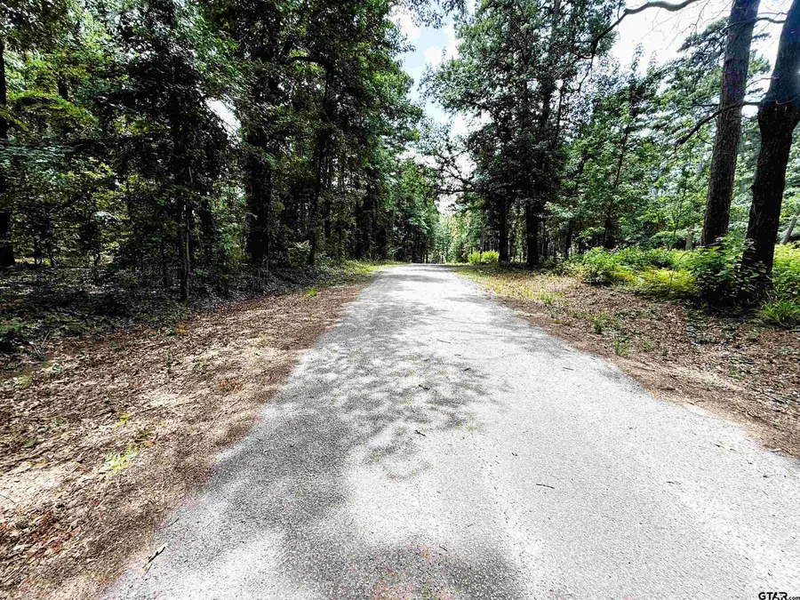 TBD Lot 4 Cr 4557, Winnsboro, TX 75494 - #3