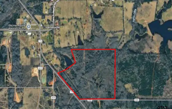 TBD S Fm 778 / Cr 3880, Mineola,  75773