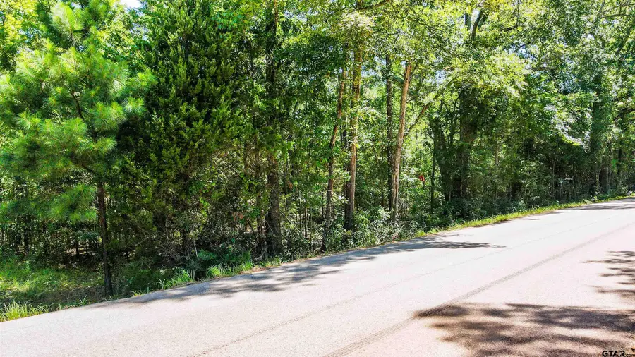 TBD S Fm 778 / Cr 3880, Mineola, TX 75773 - #3