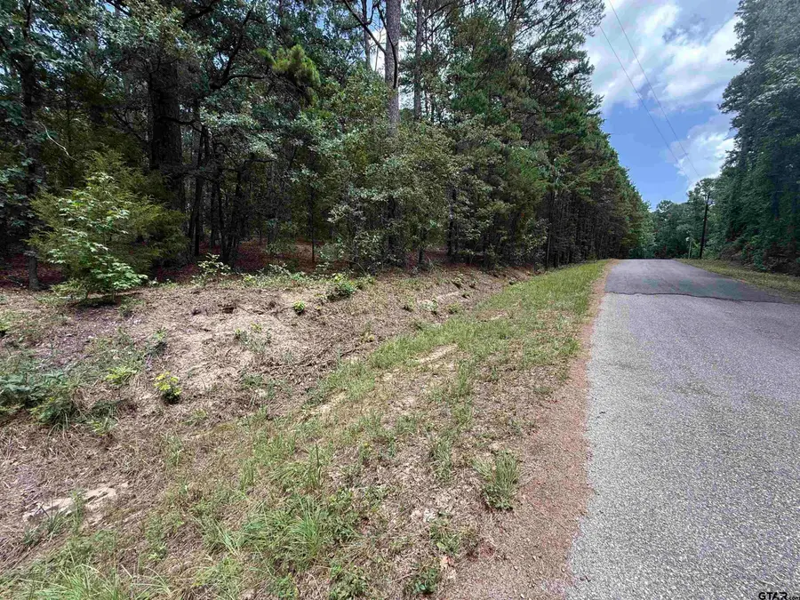 TBD Cr 4556, Winnsboro, TX 75494 - #3