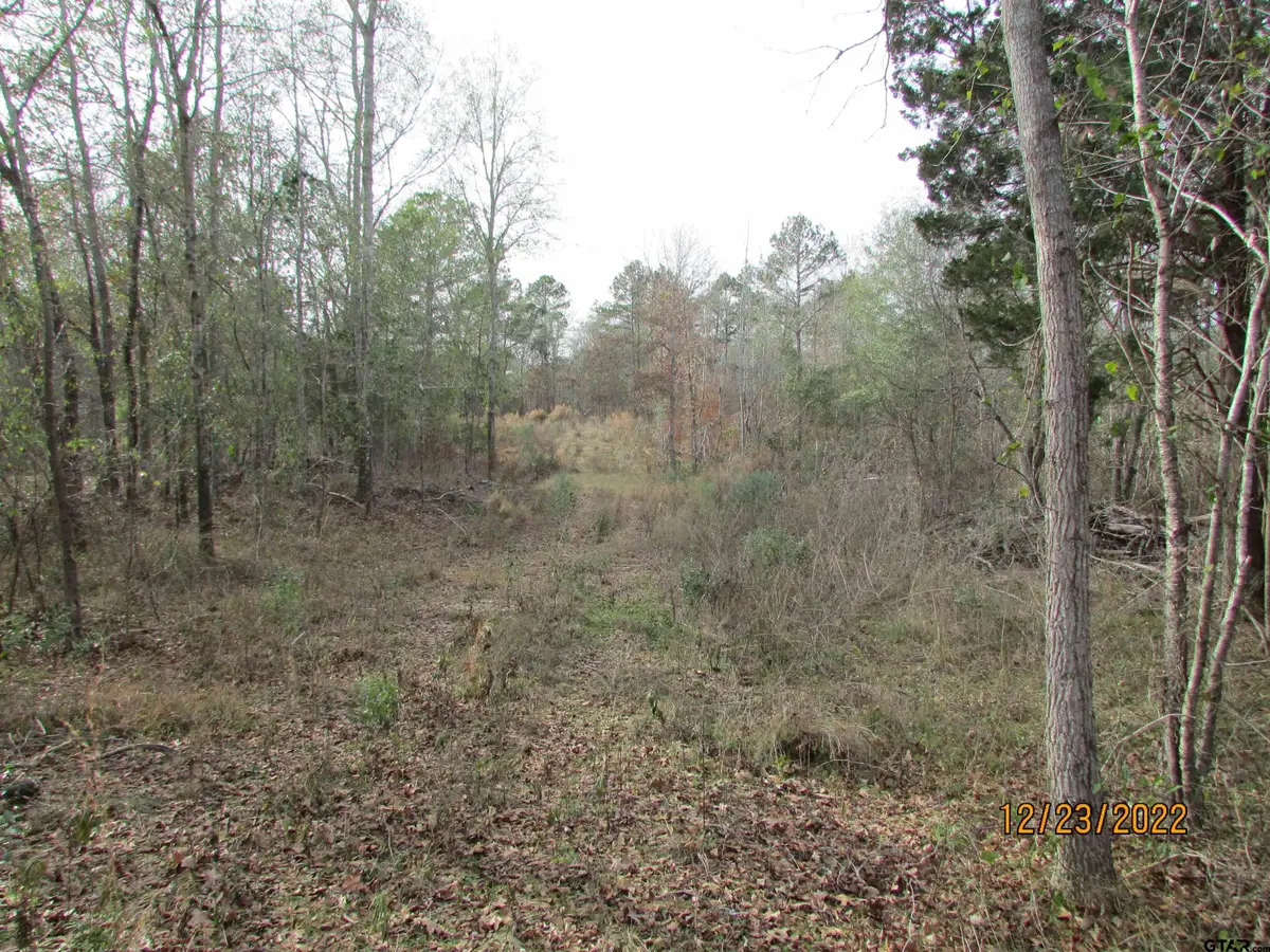 6110 Fm 314, Larue, TX 75770 - #1