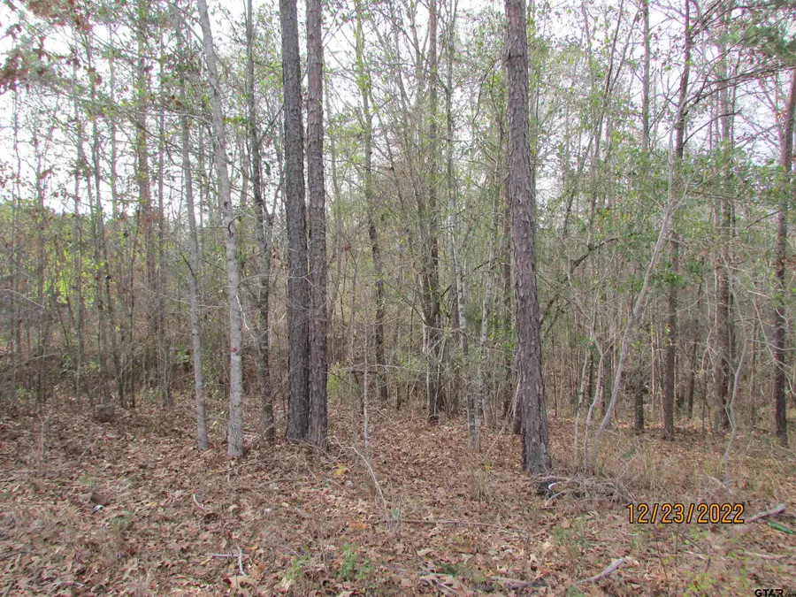 6110 Fm 314, Larue, TX 75770 - #3