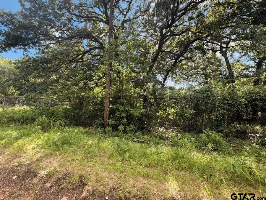 4080 Canyon Cir., Tyler, TX 75706 - #2