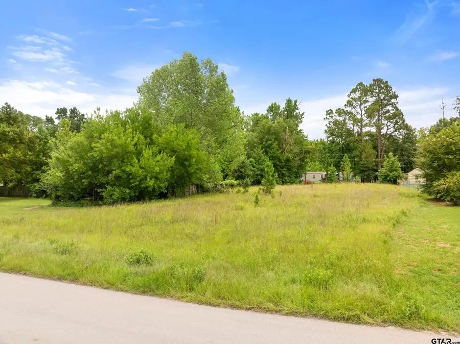 16227 Janan Drive, Tyler, TX 75707 - #3