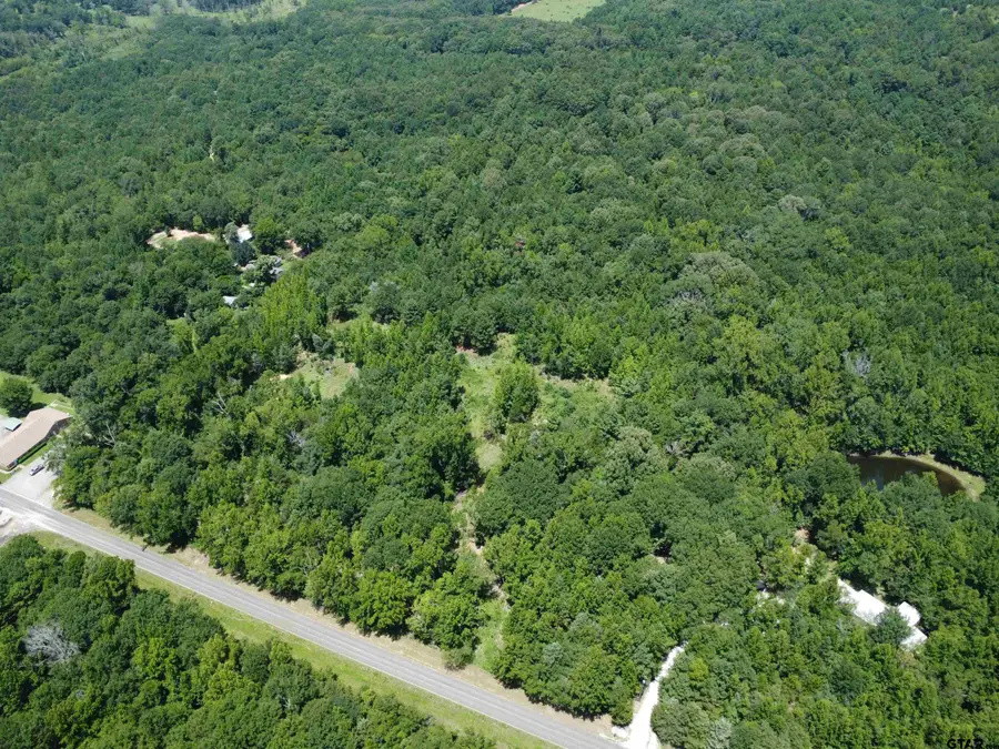 14164 County Road 471, Tyler, TX 75706 - #2