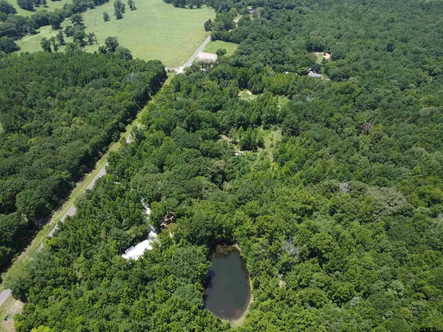 14164 County Road 471, Tyler, TX 75706 - #3