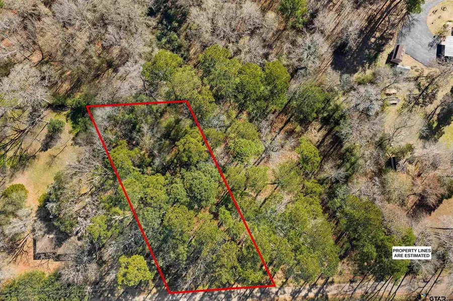 2808 Carroll Ave, Kilgore, TX 75662 - #3