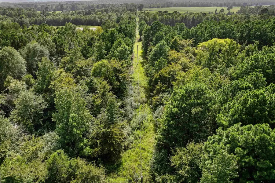TBD S Cr 364, Henderson, TX 75654 - #2