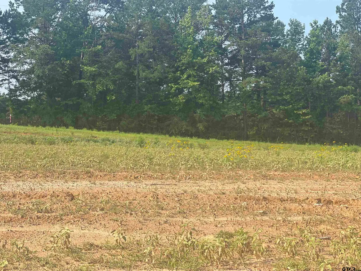 tbd Sweet Pea Ln, Hallsville, TX 75650 - #1
