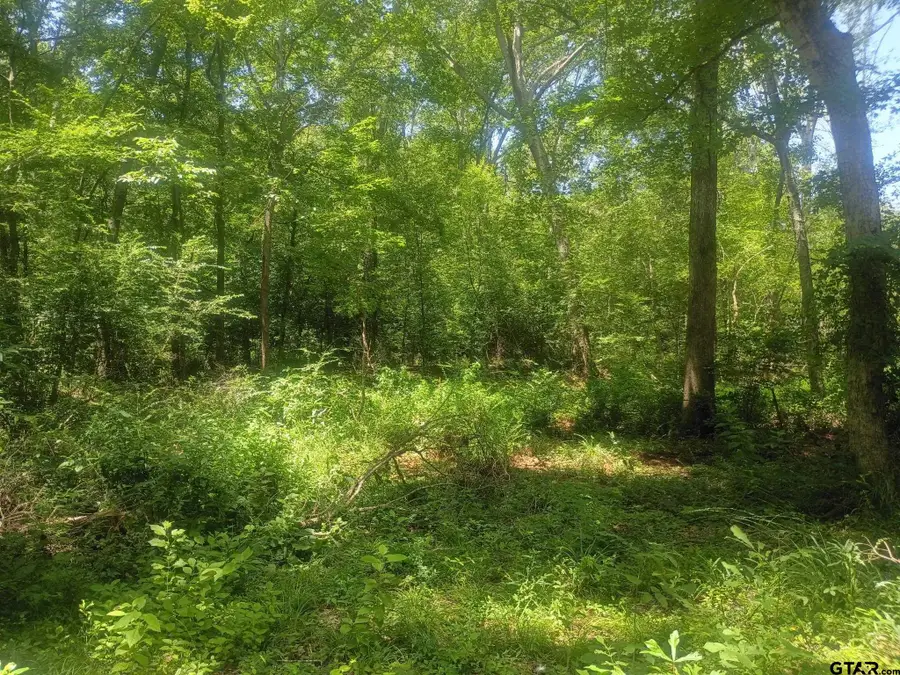 TBD County Road 1708, Jacksonville, TX 75766 - #2