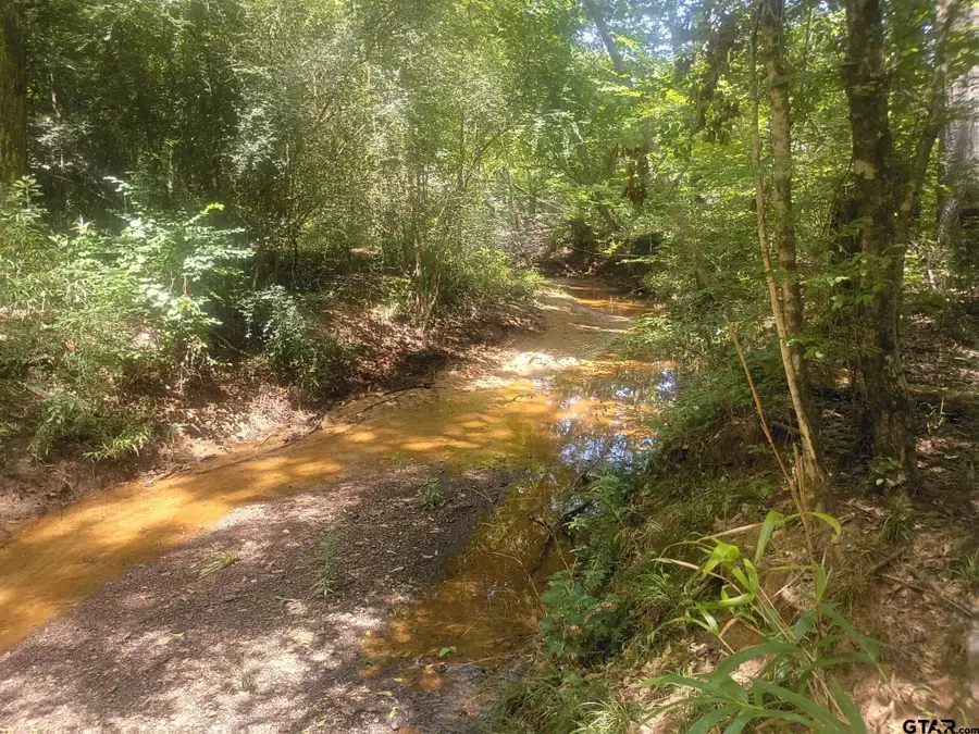TBD County Road 1708, Jacksonville, TX 75766 - #3