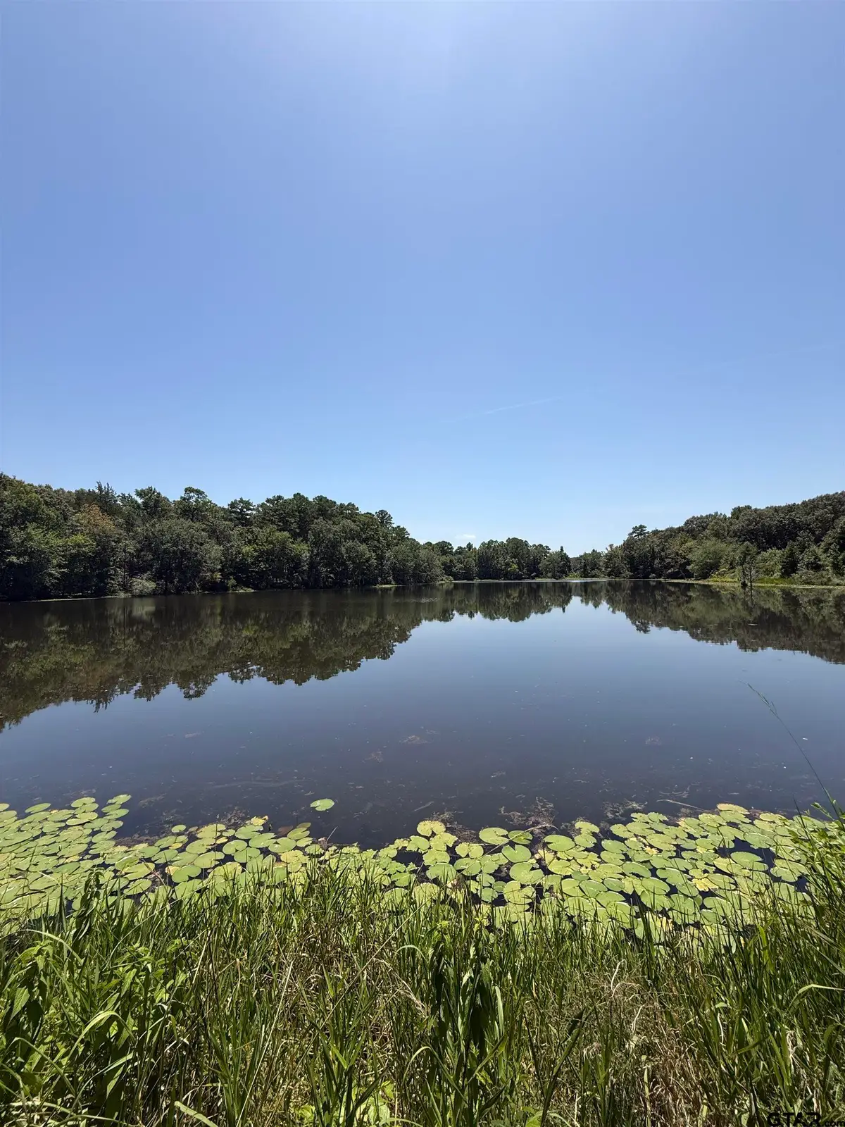 194 Cr 3802a, Bullard, TX 75757 - #1
