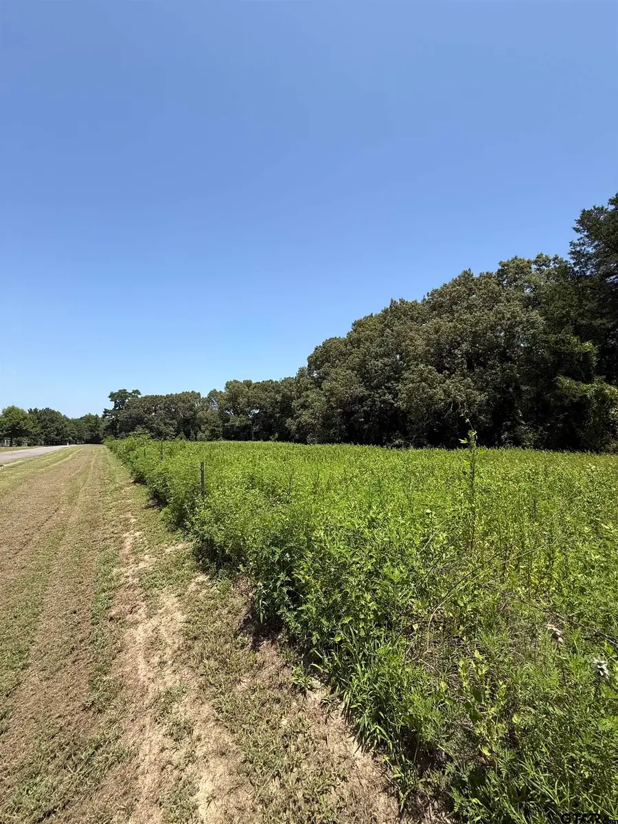194 Cr 3802a, Bullard, TX 75757 - #2