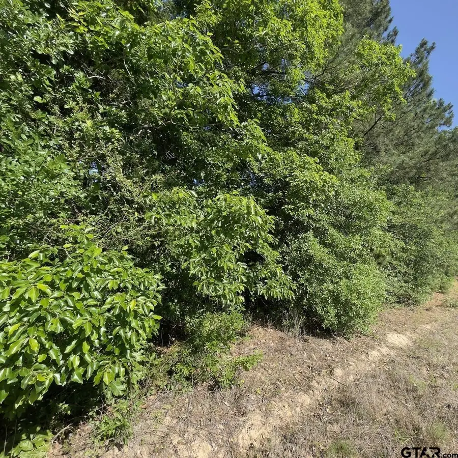 000 County Road 2138, Troup, TX 75789 - #2