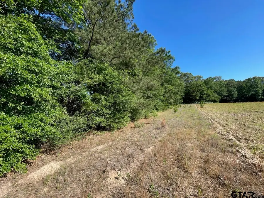 000 County Road 2138, Troup, TX 75789 - #3