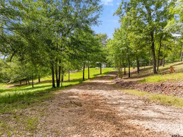 17379 County Road 318, Tyler, TX 75706