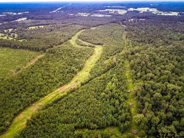 150 AC Cr 433 / Cr 435, Carthage,  75633