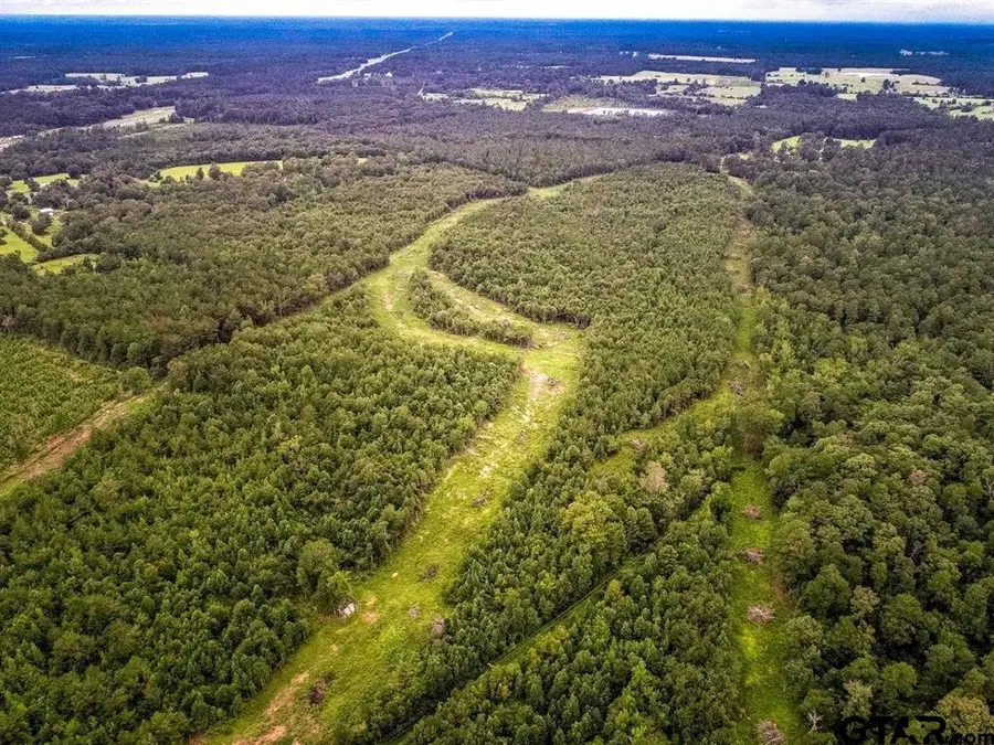 150 AC Cr 433 / Cr 435, Carthage, TX 75633 - #2