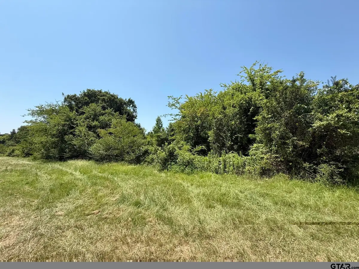 TBD Fm 2152, Mount Pleasant, TX 75455 - #1