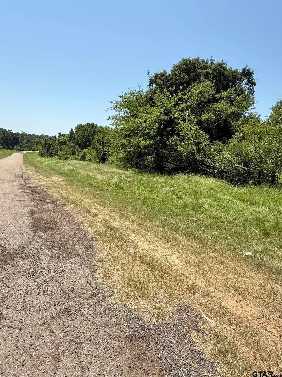 TBD Fm 2152, Mount Pleasant, TX 75455 - #3
