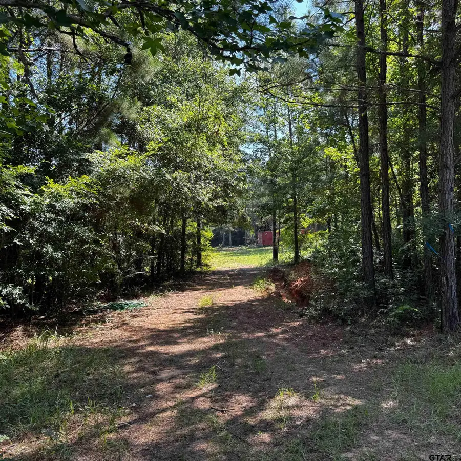 1365 Cr 2112, Rusk, TX 75785 - #2