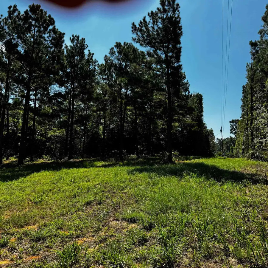 1365 Cr 2112, Rusk, TX 75785 - #3