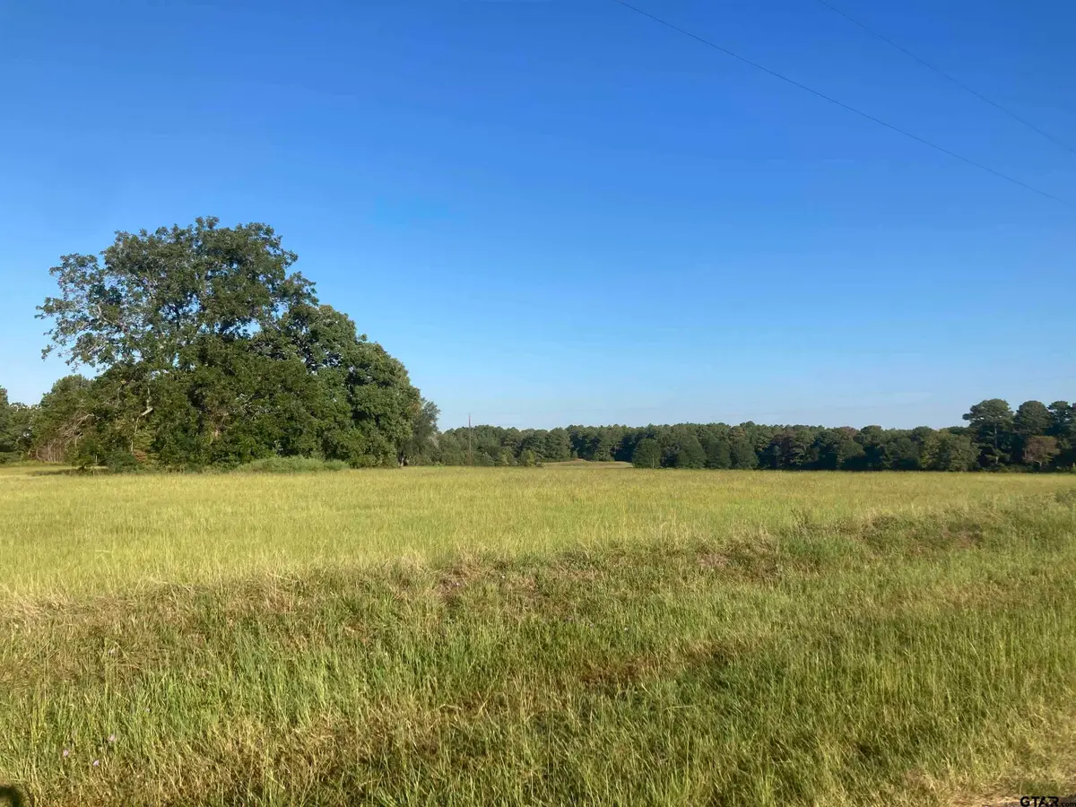 15178 Cr 1100, Tyler, TX 75703 - #1