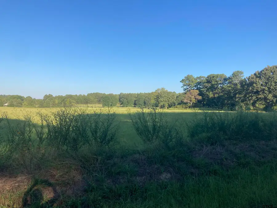 15178 Cr 1100, Tyler, TX 75703 - #3