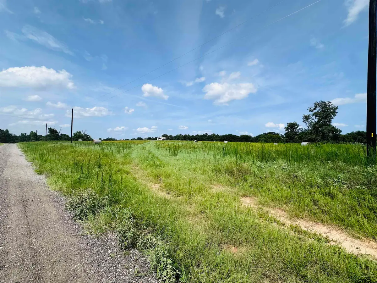 24620 Pr 8102, Frankston, TX 75763 - #1