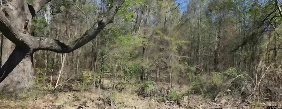 2415 Fm 17, Alba, TX 75410 - #3