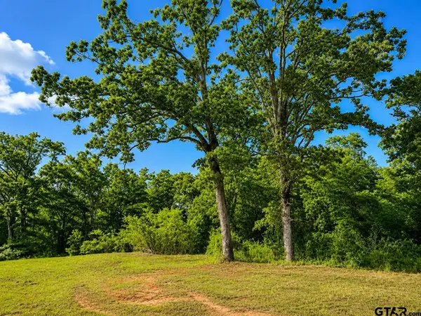 TBD W Hwy 80, Mineola,  75773