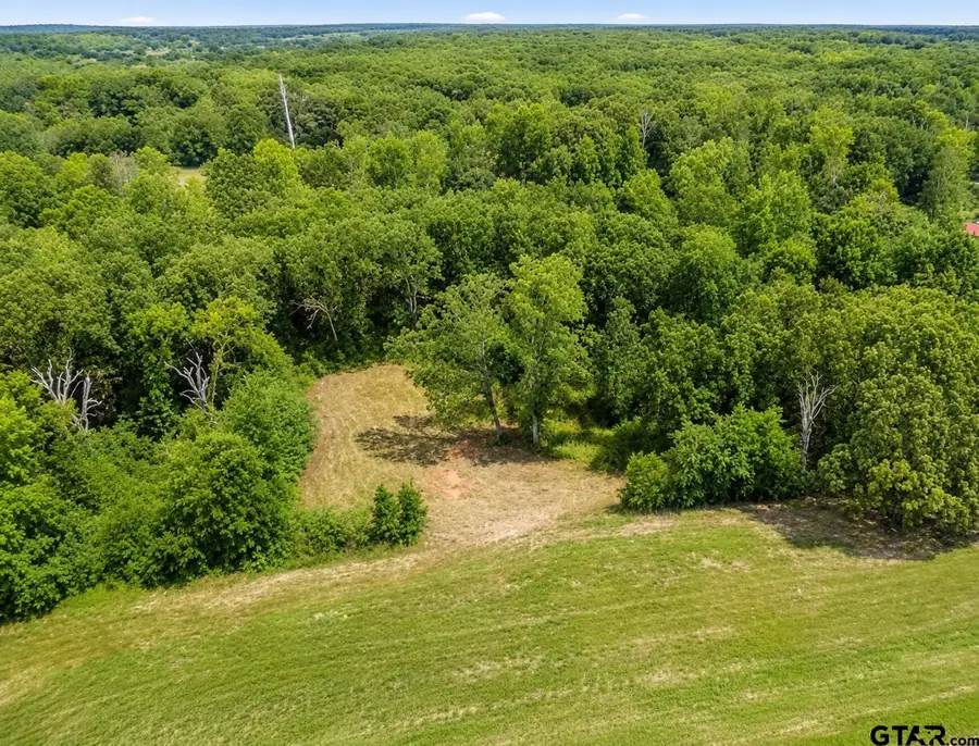 TBD W Hwy 80, Mineola, TX 75773 - #3