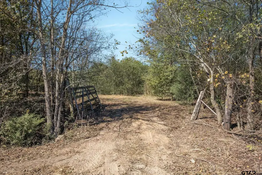 2805 Vz County Road 3507, Wills Point, TX 75169 - #2