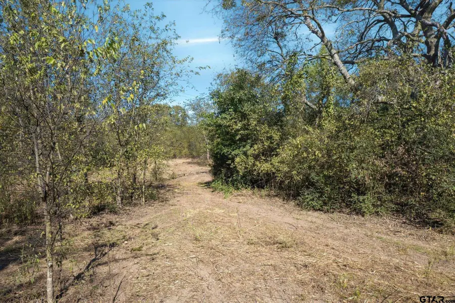 2805 Vz County Road 3507, Wills Point, TX 75169 - #3