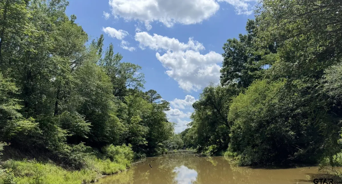 TBD Hwy 155 N, Winona, TX 75792 - #1