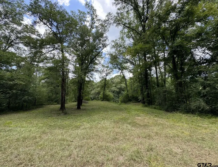TBD Hwy 155 N, Winona, TX 75792 - #2