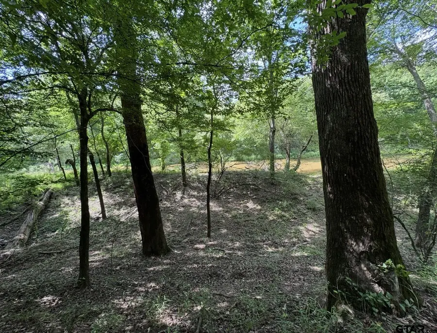 TBD Hwy 155 N, Winona, TX 75792 - #3