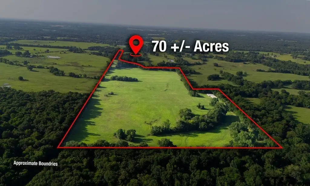 TBD SW Cr 3250, Winnsboro, TX 75494 - #1