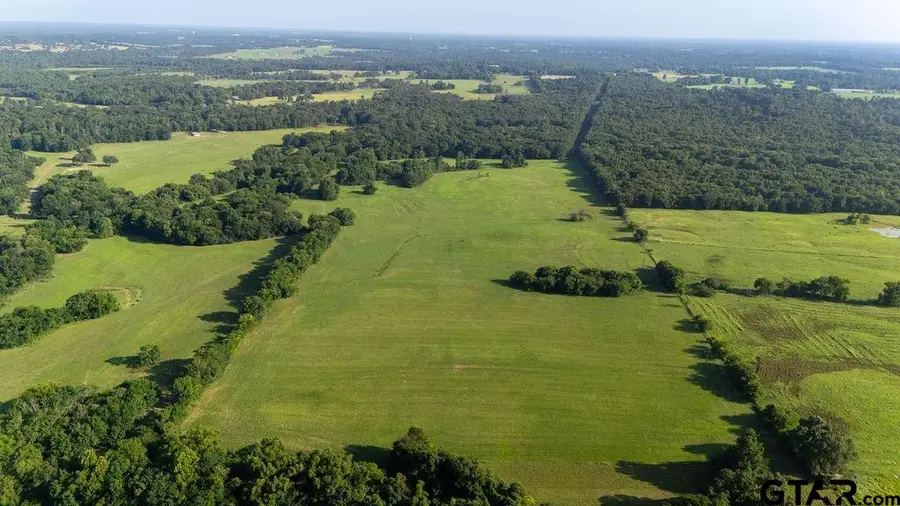 TBD SW Cr 3250, Winnsboro, TX 75494 - #3
