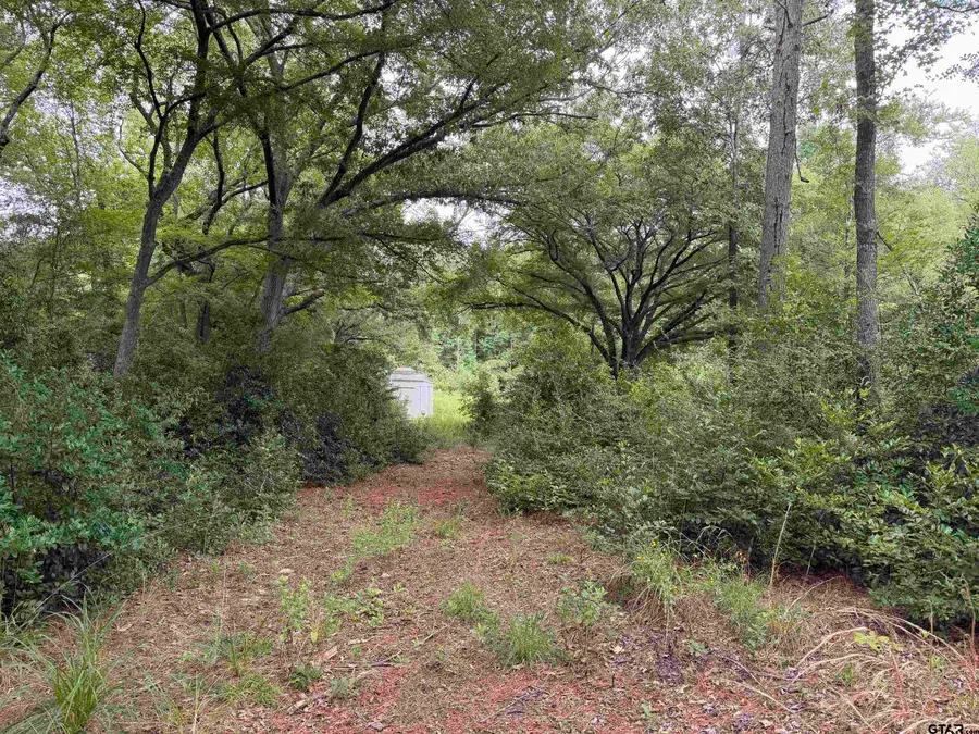 10490 Browning Street, Brownsboro, TX 75756 - #3