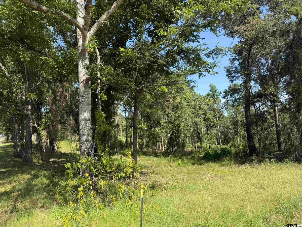 000 Cr 4218 15 Acre, Jacksonville, TX 75766 - #1