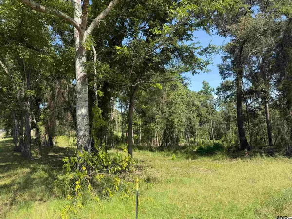 000 Cr 4218 15 Acre, Jacksonville, TX 75766